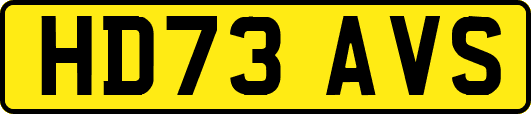 HD73AVS
