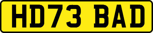 HD73BAD