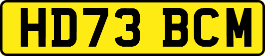 HD73BCM