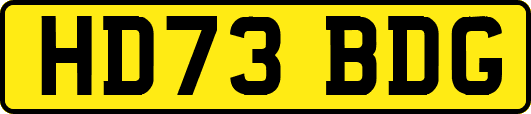 HD73BDG