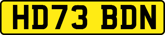 HD73BDN