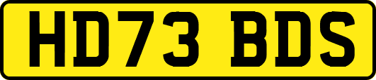 HD73BDS