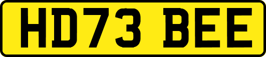 HD73BEE