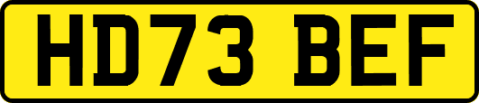 HD73BEF