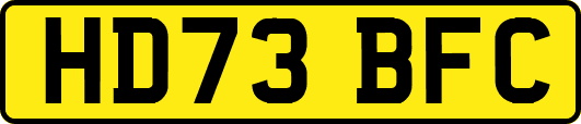 HD73BFC