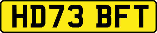 HD73BFT