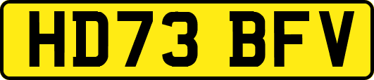 HD73BFV
