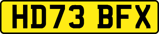 HD73BFX