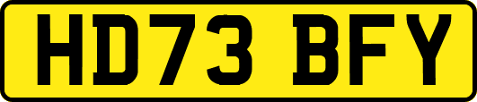 HD73BFY