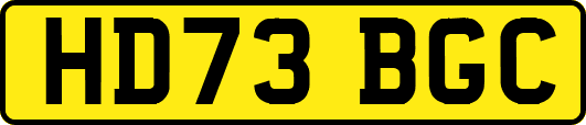 HD73BGC