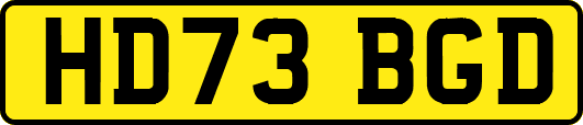 HD73BGD