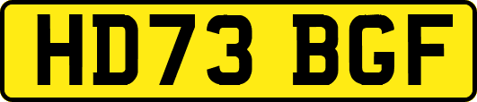 HD73BGF