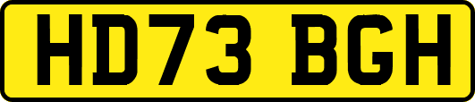 HD73BGH