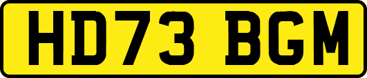 HD73BGM