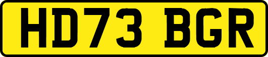 HD73BGR