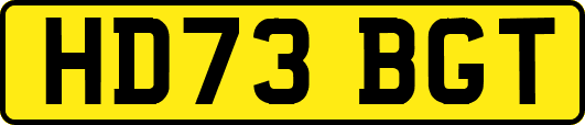 HD73BGT