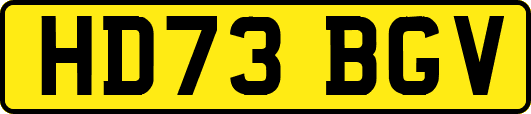 HD73BGV
