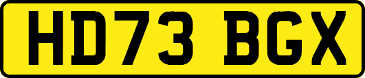 HD73BGX