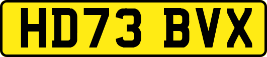HD73BVX