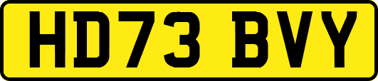 HD73BVY