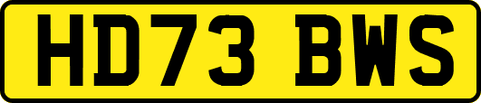 HD73BWS