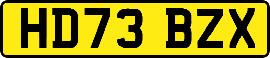 HD73BZX