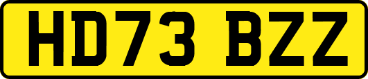 HD73BZZ