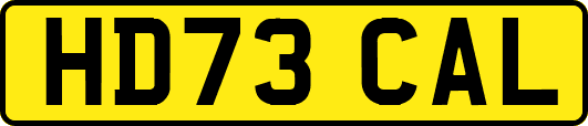 HD73CAL
