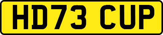 HD73CUP