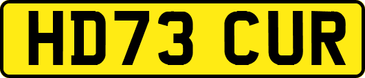 HD73CUR