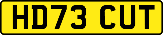 HD73CUT