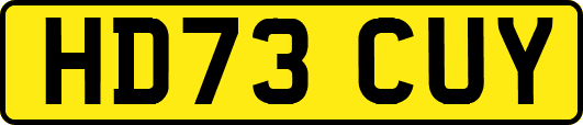 HD73CUY