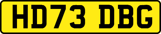 HD73DBG
