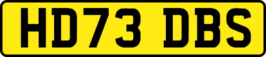 HD73DBS