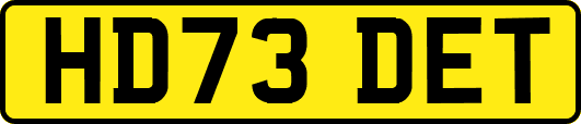 HD73DET