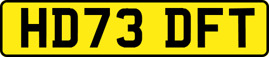 HD73DFT