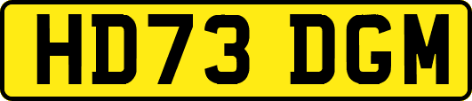 HD73DGM