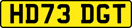 HD73DGT