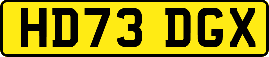 HD73DGX