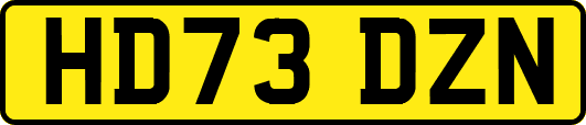 HD73DZN