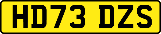 HD73DZS