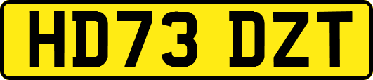 HD73DZT