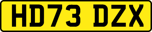 HD73DZX