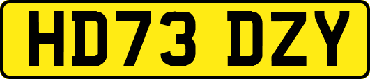 HD73DZY