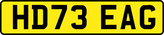 HD73EAG