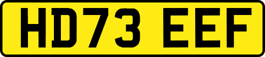 HD73EEF