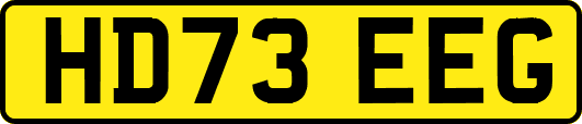 HD73EEG
