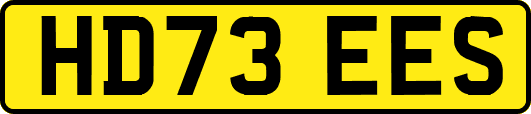 HD73EES