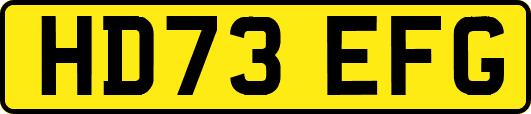 HD73EFG