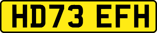 HD73EFH